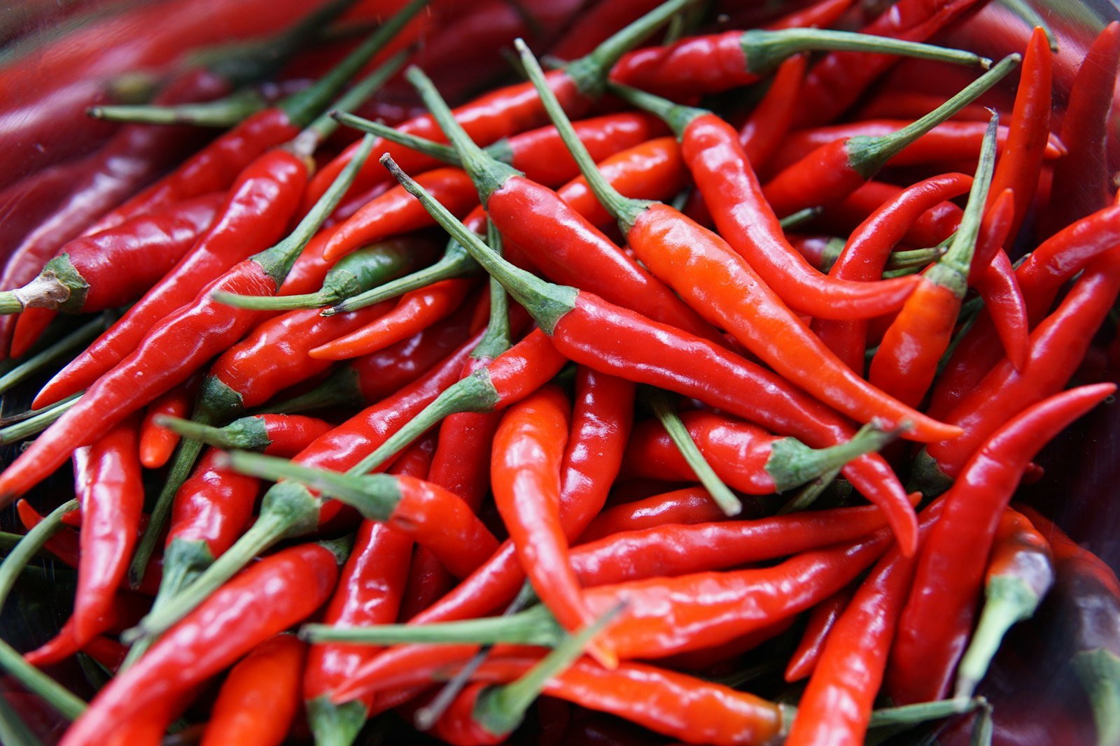 A vivid heap of fresh red chillies