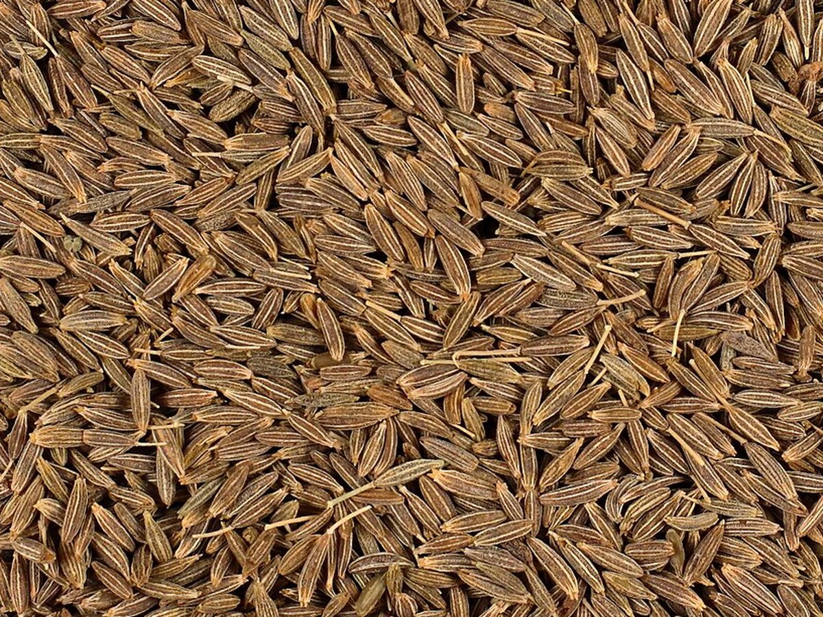 Whole cumin seeds filling the frame edge to edge